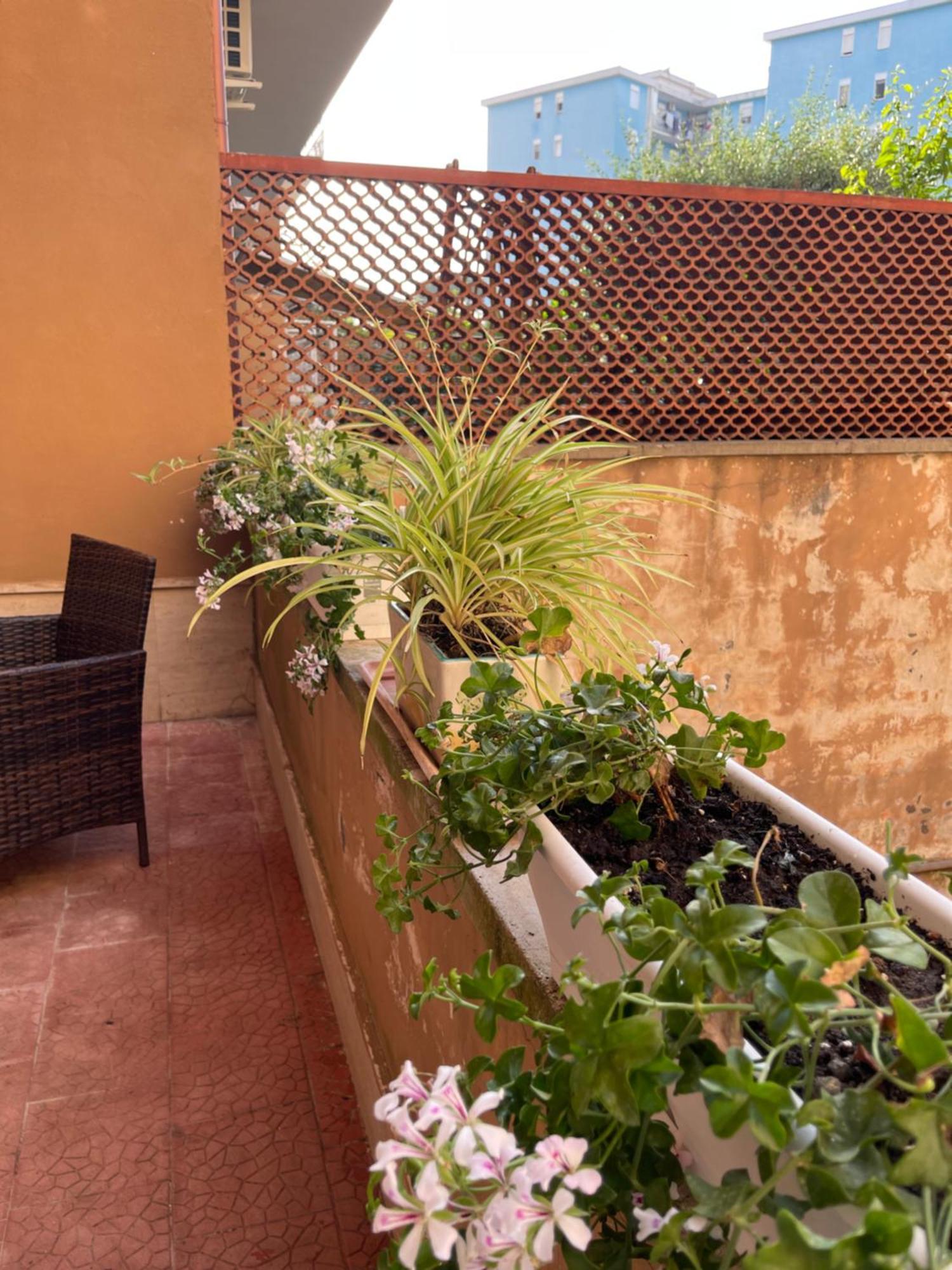 Oleander Apartment كاستيلاّماري دي ستا المظهر الخارجي الصورة